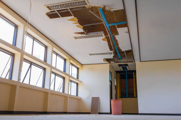 Best Professional water damage repair  in Edina, MO