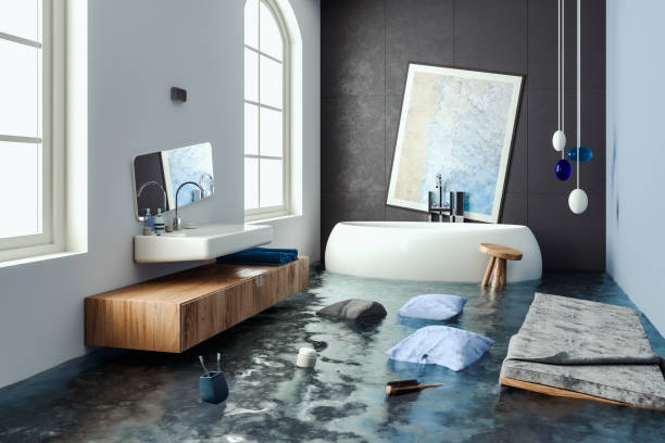 Best Carpet water damage restoration  in Edina, MO