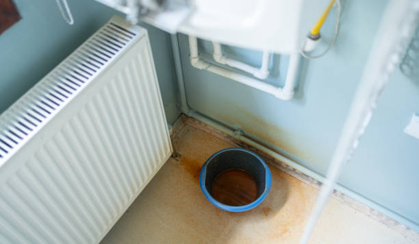 Best Ceiling water damage repair  in Edina, MO