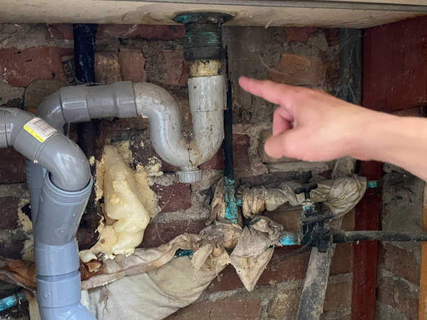 Best Basement water damage restoration  in Edina, MO