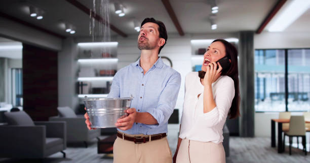 Best Fire Damage Restoration  in Edina, MO